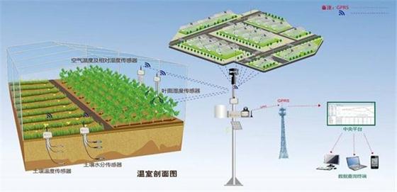 物聯(lián)網技術對農業(yè)供給側改革有哪些影響?