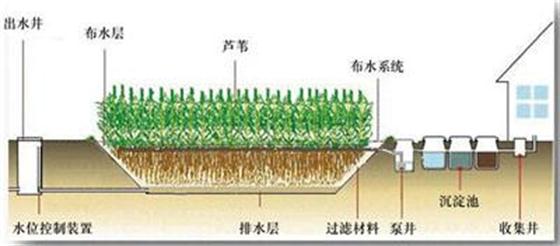 循環(huán)農業(yè)如何促進現(xiàn)代農業(yè)發(fā)展?